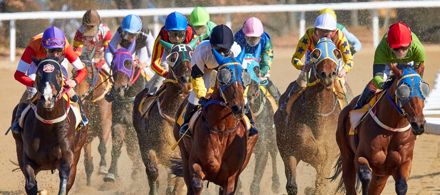 Horse race with jockeys in colorful kits. A jockey in a red-covered helmet and green shirt astride a bay horse with blue face covering appears to be in the lead.